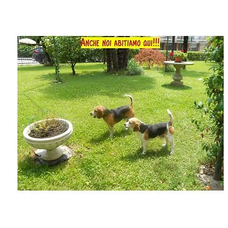 Doppi Bagni Sei Posti Letto Apartment