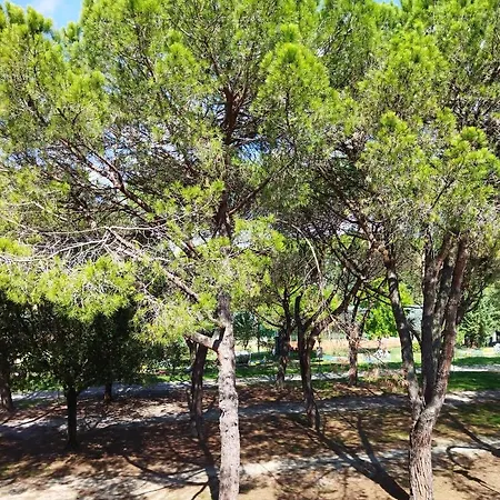 Doppi Bagni Sei Posti Letto Apartment